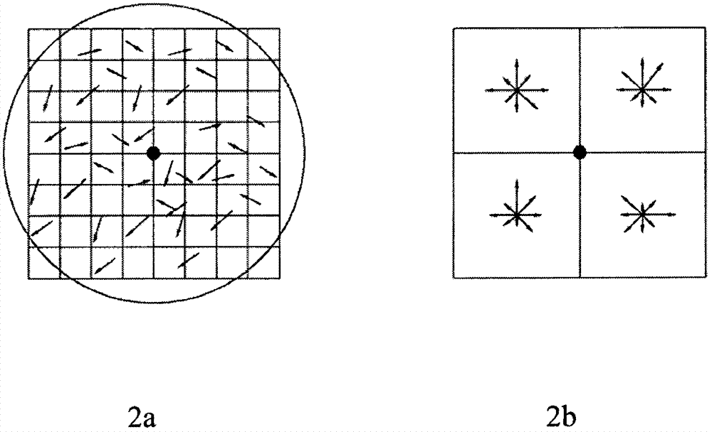 An Image Representation Method and Its Application in Image Matching and Recognition