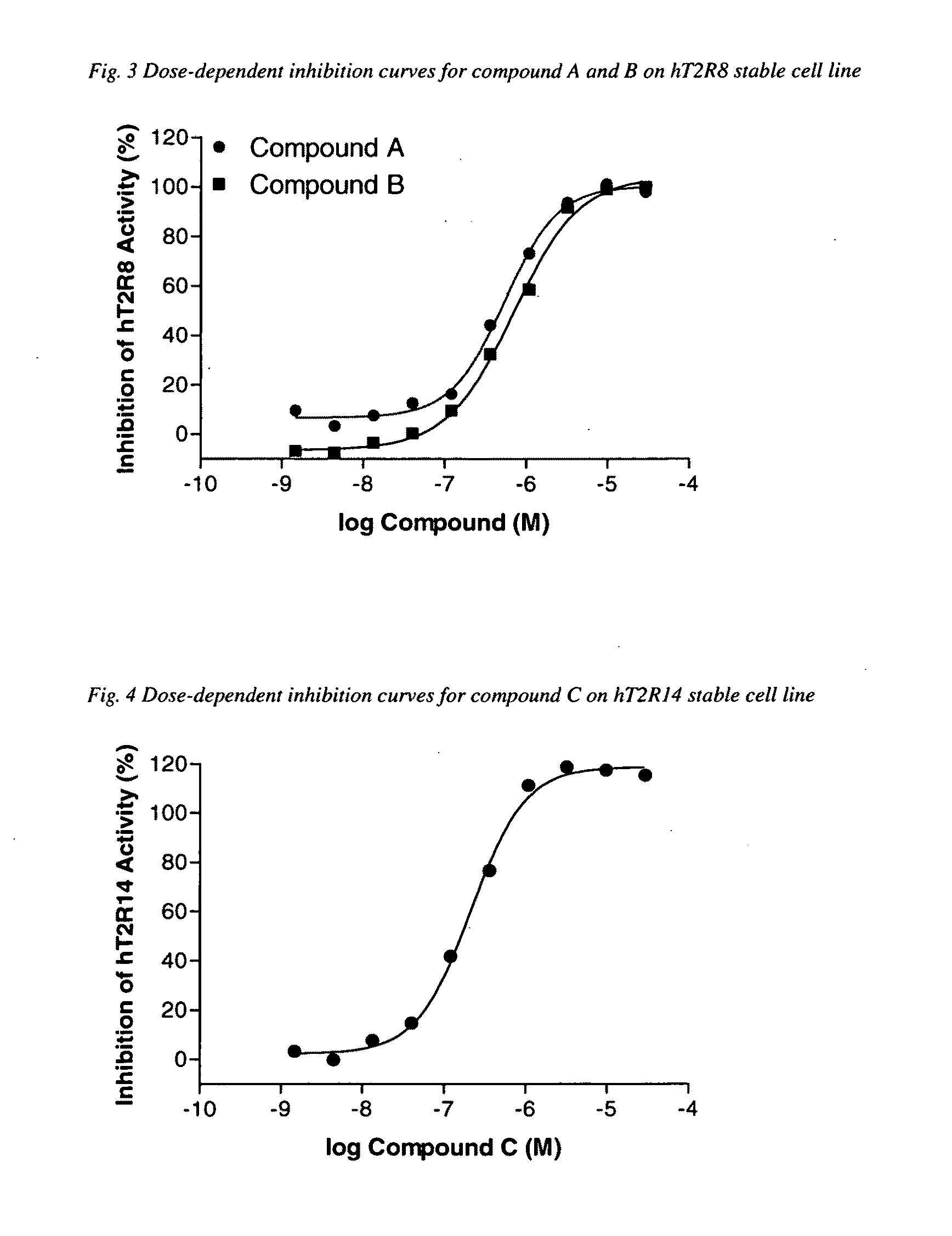 Identification of human T2R receptors that respond to bitter compounds that elicit the bitter taste in compositions, and the use thereof in assays to identify compounds that inhibit (block) bitter taste in compositions and use thereof