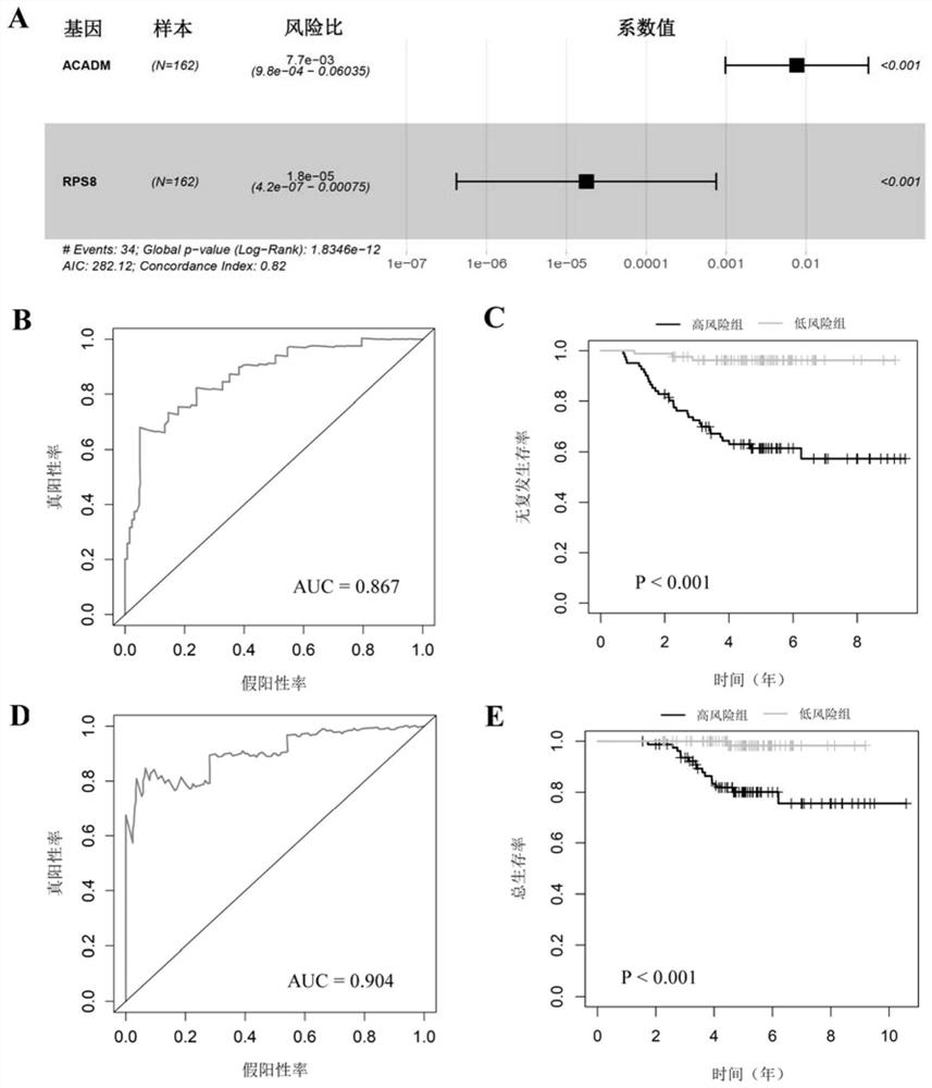 Postoperative recurrence risk prediction system for patients with stage I lung adenocarcinoma and its application