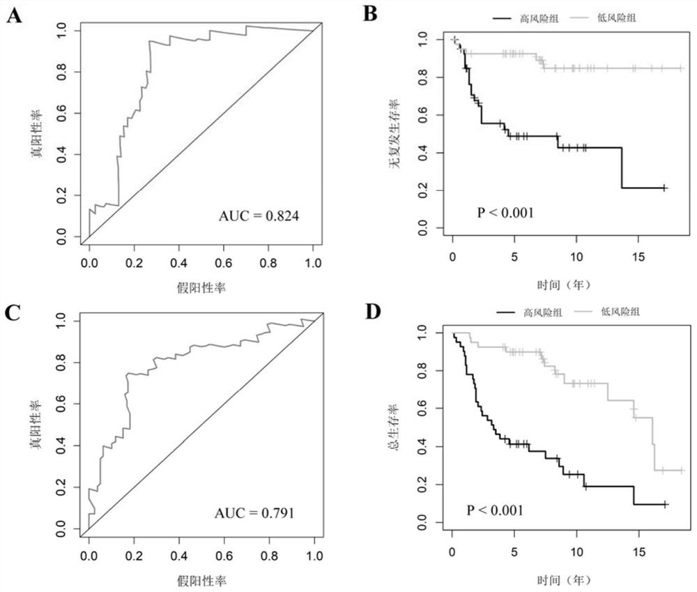 Postoperative recurrence risk prediction system for patients with stage I lung adenocarcinoma and its application