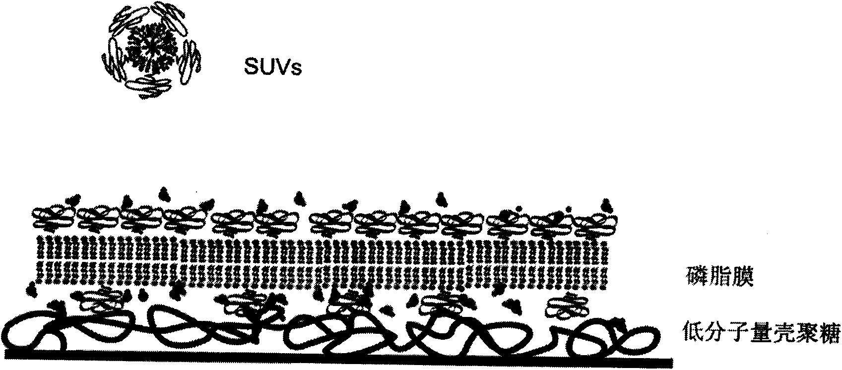 Method for modifying air stability phospholipid membrane on solid surface