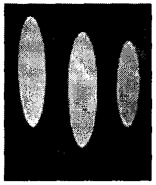 Method for modifying air stability phospholipid membrane on solid surface