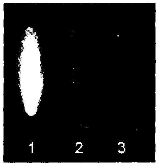 Method for modifying air stability phospholipid membrane on solid surface