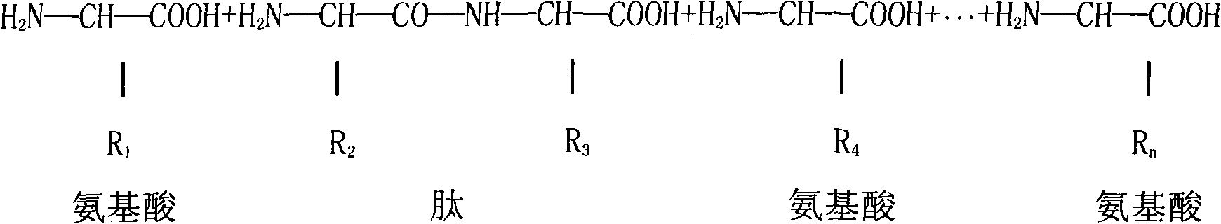 Special compound enzyme for yeast hydrolysis and preparation method thereof