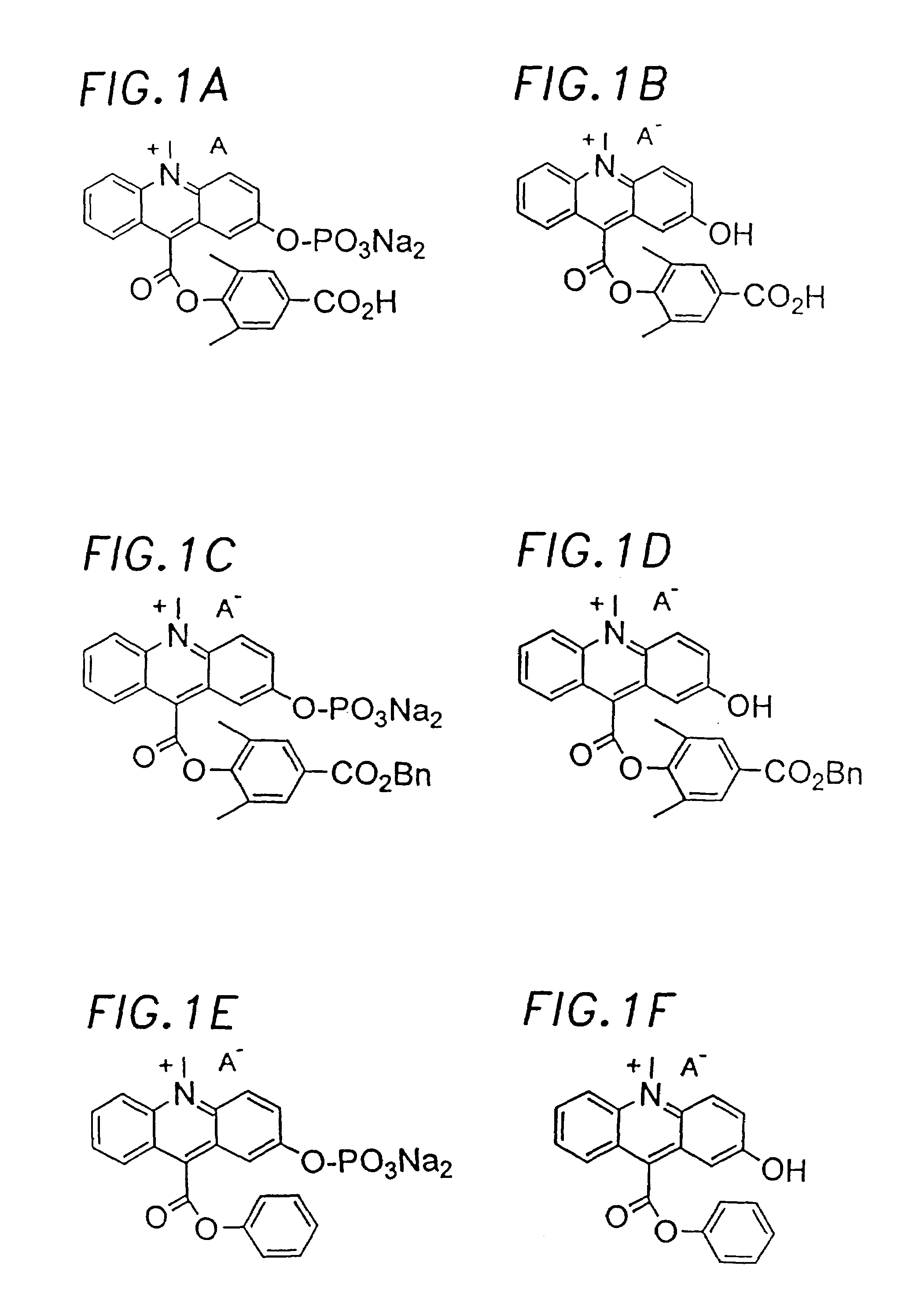 Chemiluminescent acridinium compounds and analogues thereof as substrates of hydrolytic enzymes