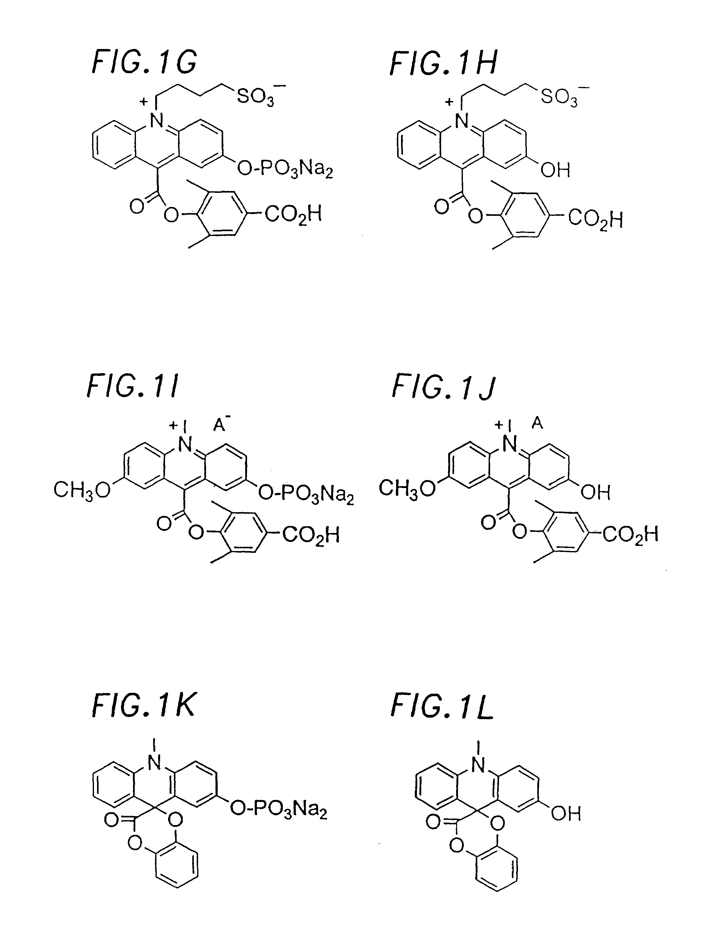 Chemiluminescent acridinium compounds and analogues thereof as substrates of hydrolytic enzymes
