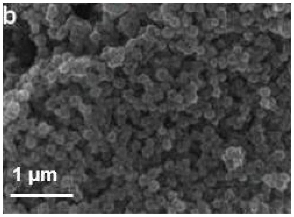 Titanium dioxide/ruthenium monatomic noble metal nano catalytic material for degrading pollutants and preparation method thereof