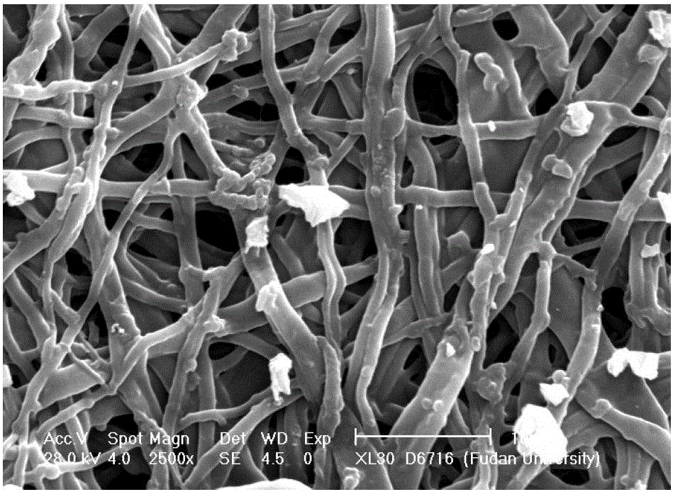 Preparation method of zinc oxide titanium dioxide nanocomposite material with network structure