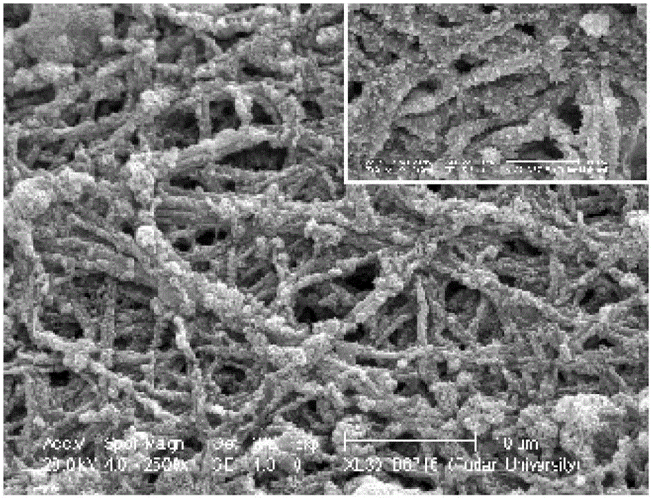 Preparation method of zinc oxide titanium dioxide nanocomposite material with network structure