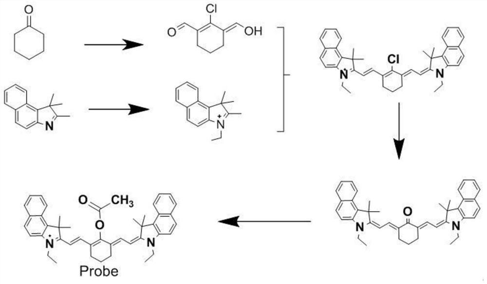 Preparation method and application of a ratiometric fluorescent probe for detecting hydrazine