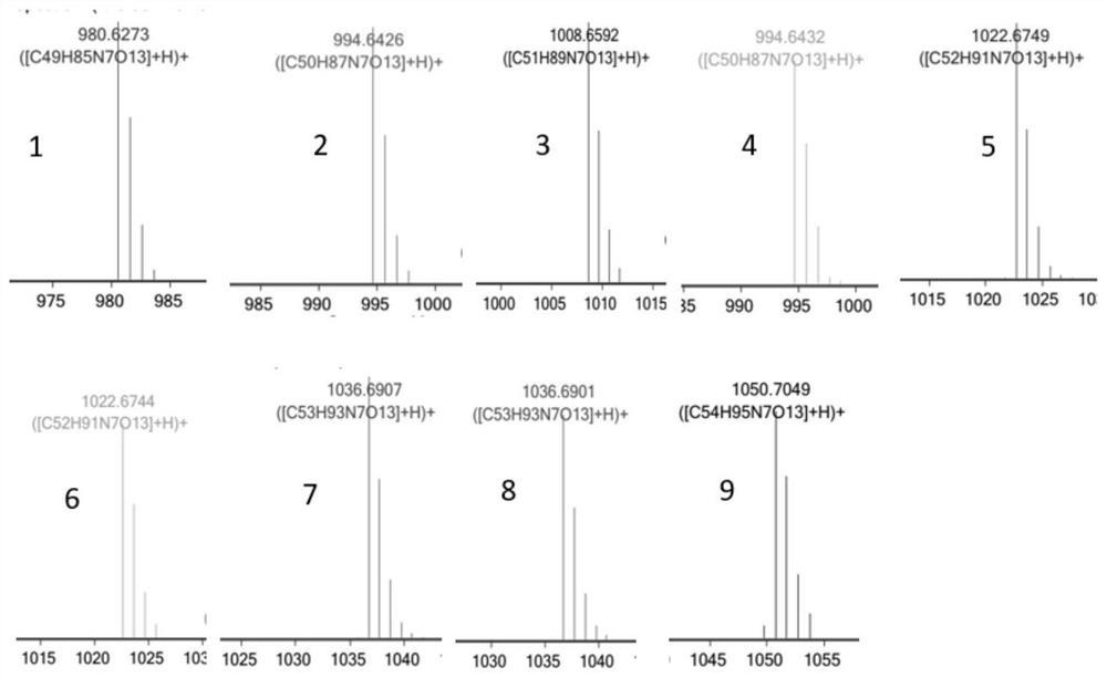 Genetically engineered bacterium for strengthening nC14-surfactin component as well as construction method and application of genetically engineered bacterium