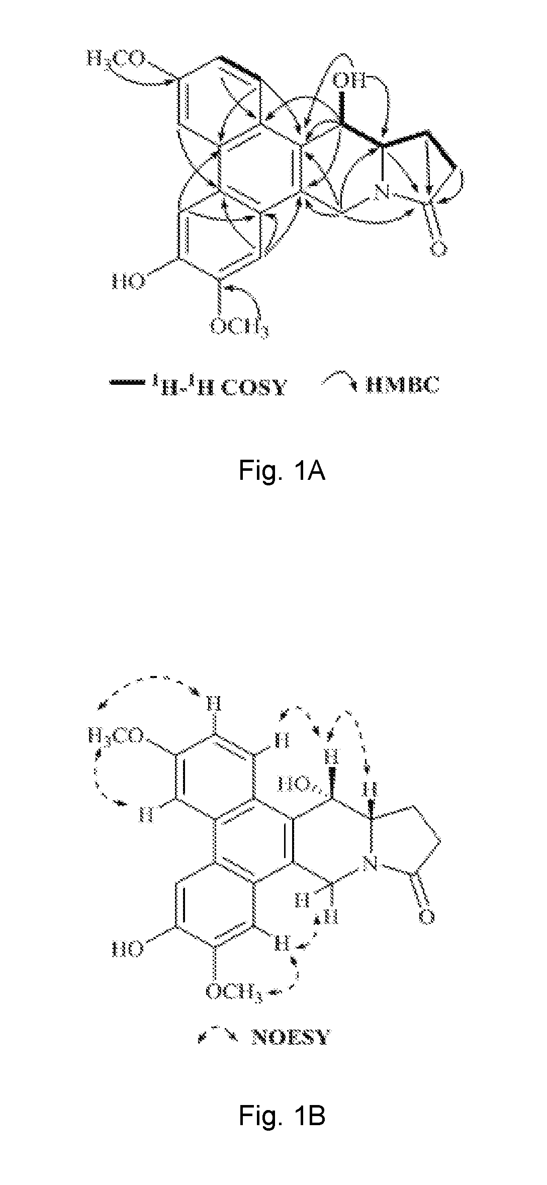 Method of isolating phenanthroindolizidine alkaloids from <i>Tylophora atrofolliculata </i>with HIF-1 inhibitory activity, compositions comprising them and their use