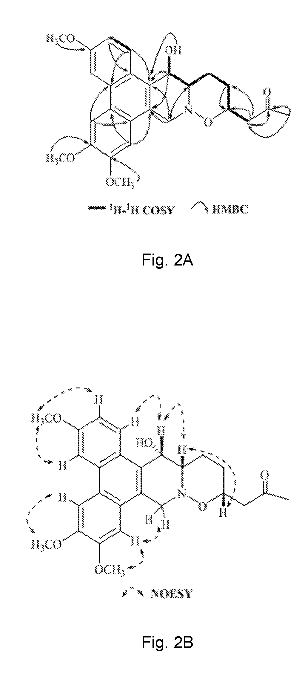 Method of isolating phenanthroindolizidine alkaloids from <i>Tylophora atrofolliculata </i>with HIF-1 inhibitory activity, compositions comprising them and their use