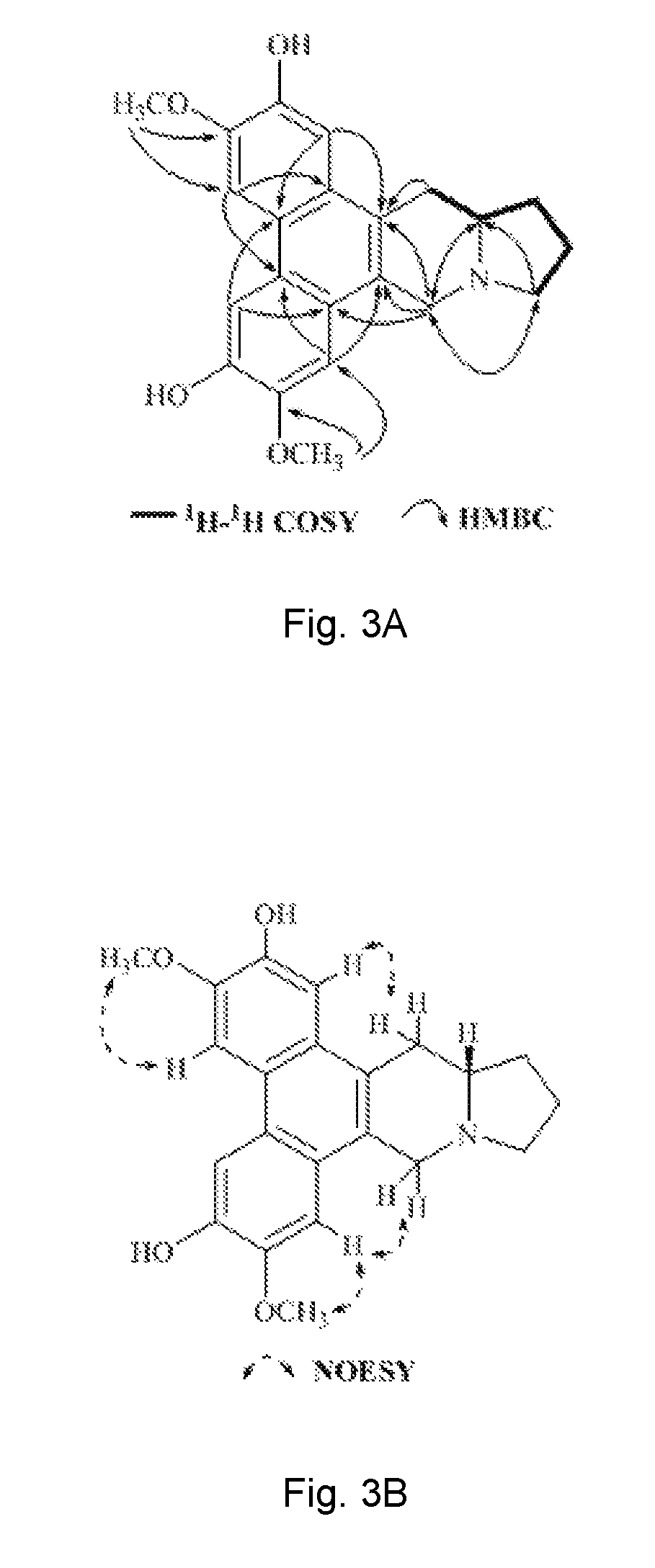 Method of isolating phenanthroindolizidine alkaloids from <i>Tylophora atrofolliculata </i>with HIF-1 inhibitory activity, compositions comprising them and their use