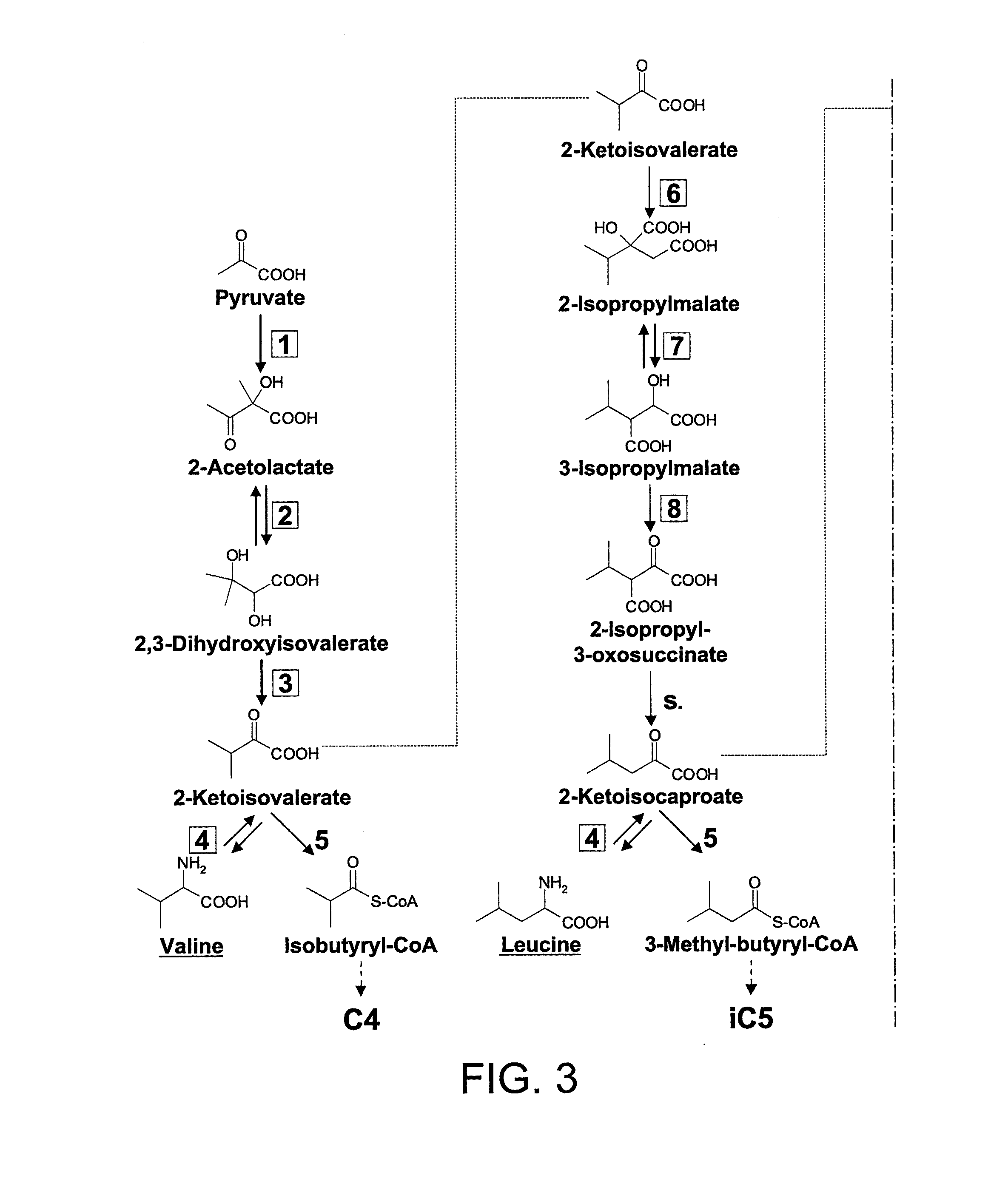 Isopropylmalate synthase from nicotiana tabacum and methods and uses thereof