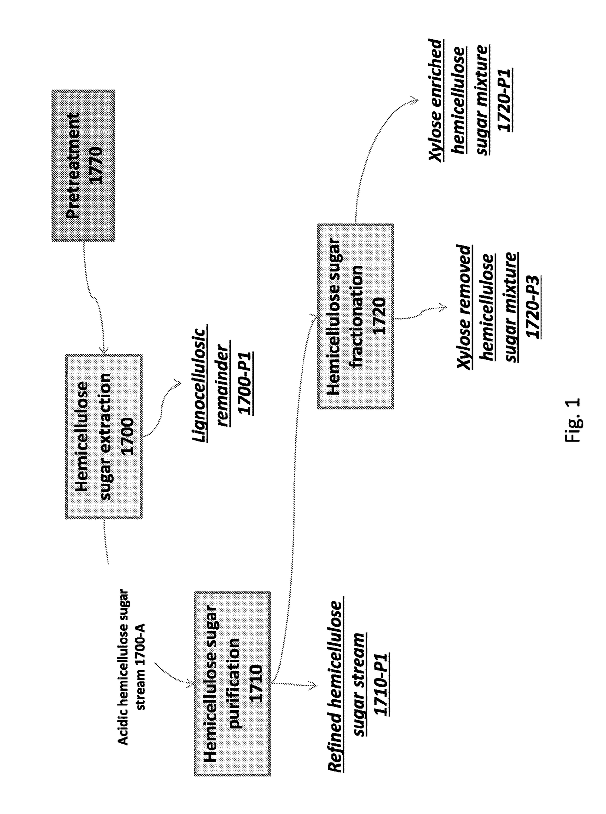 Methods for extracting and converting hemicellulose sugars
