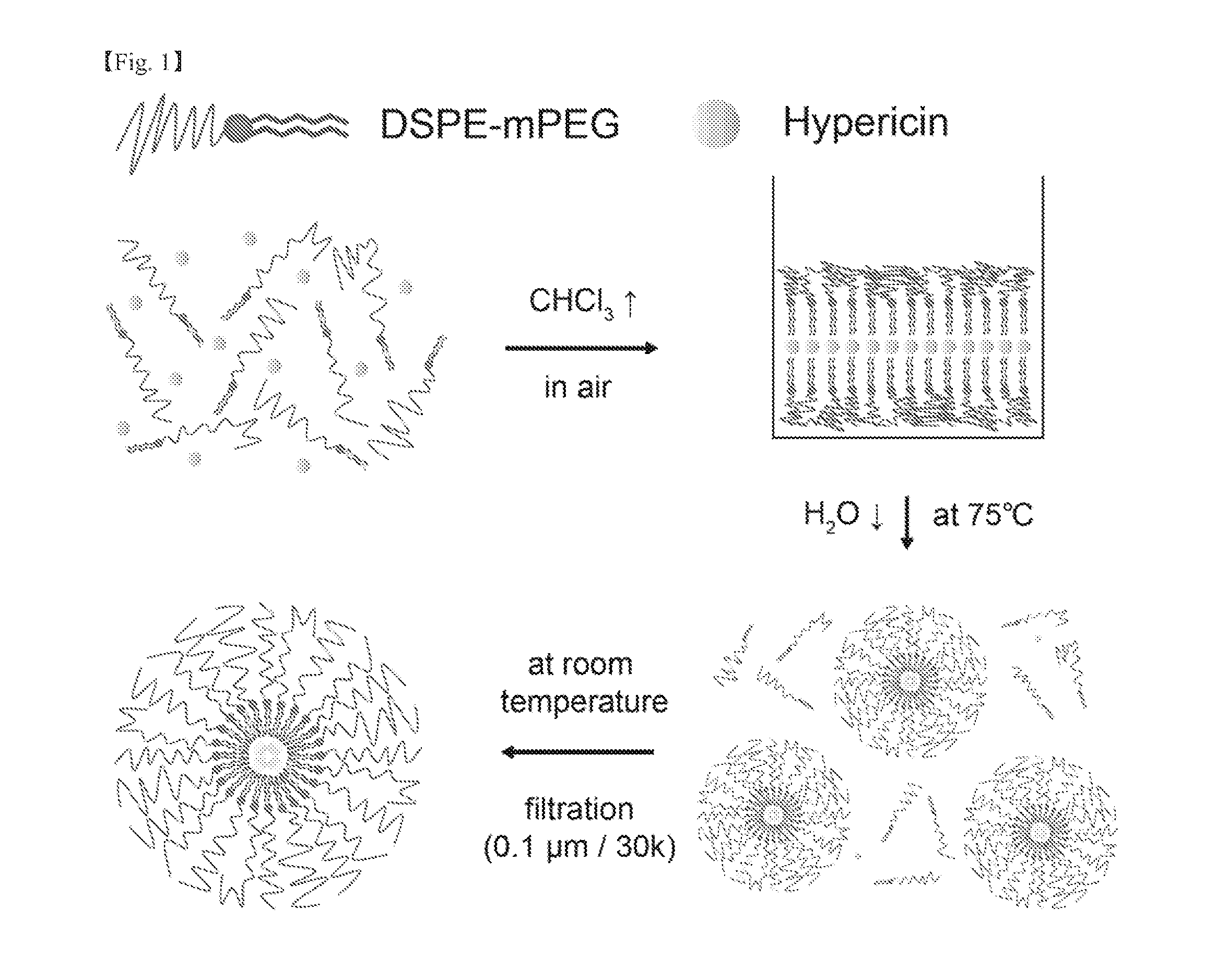 Micelle structure of NANO preparation for diagnosis or treatment of cancer disease and preparation method thereof