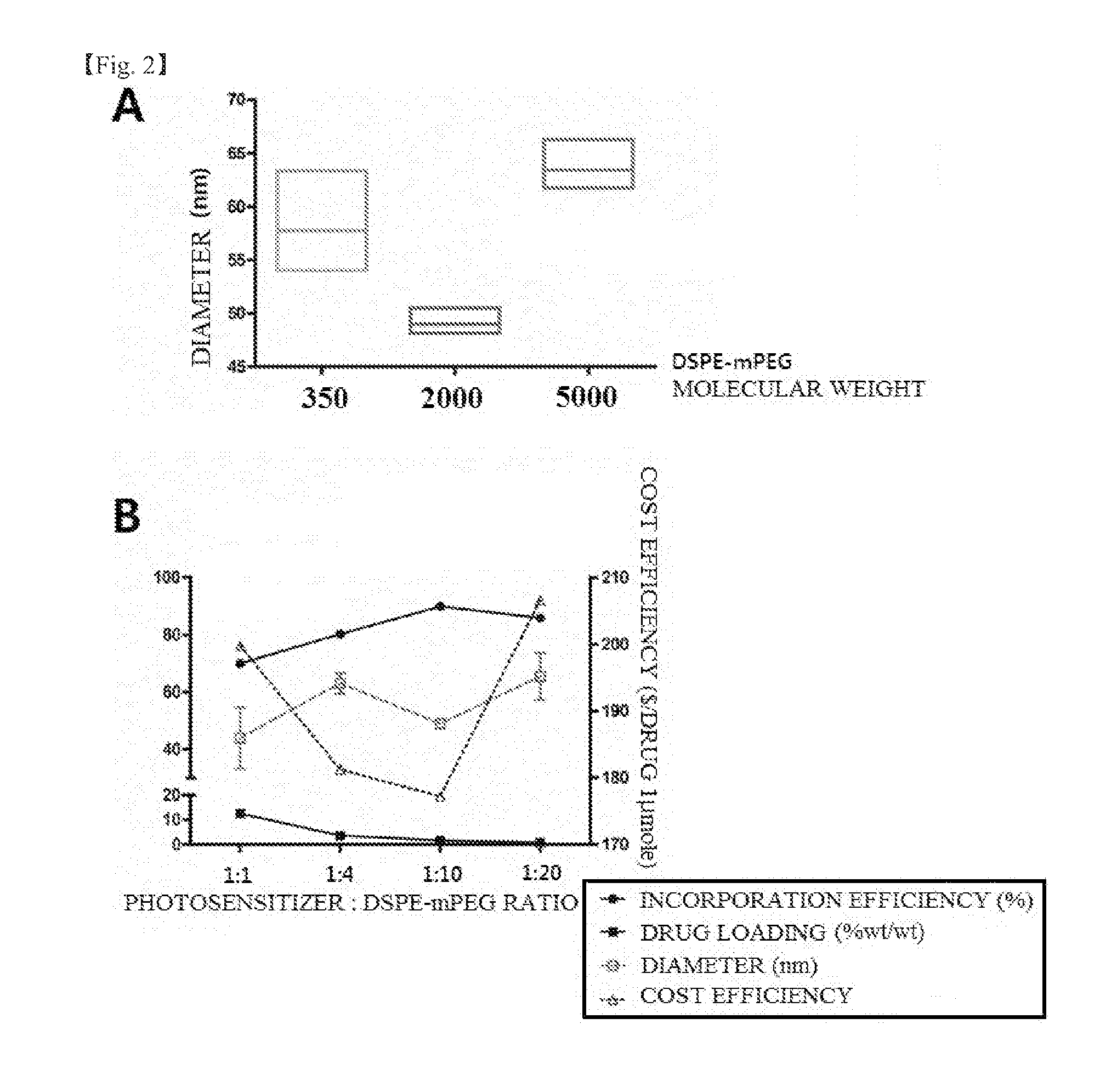 Micelle structure of NANO preparation for diagnosis or treatment of cancer disease and preparation method thereof