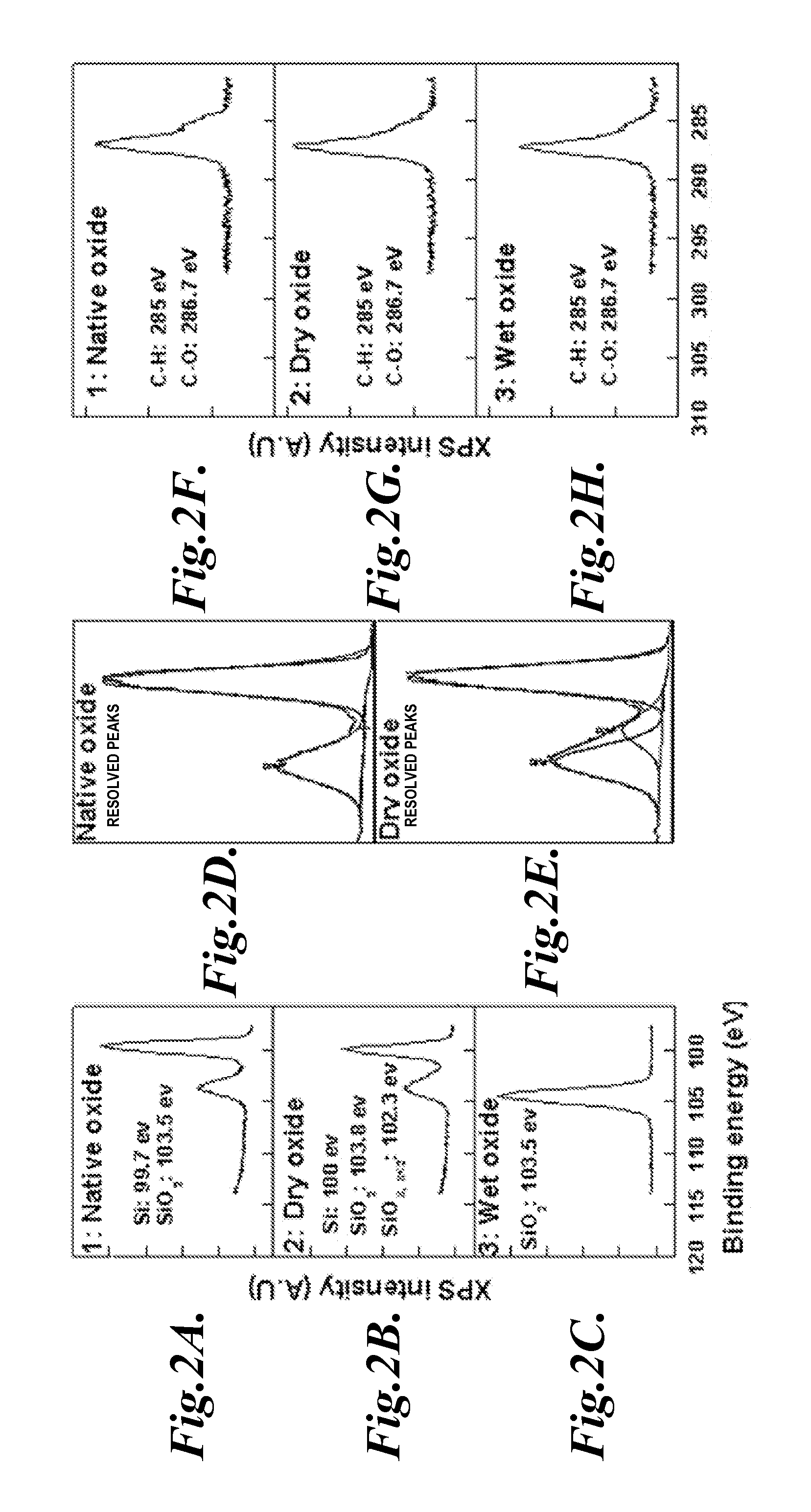 Arrays and methods for guided cell patterning