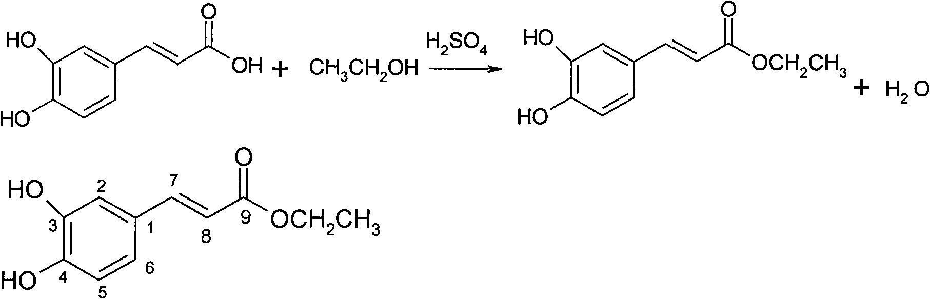 New purpose of caffeic acid and derivatives thereof