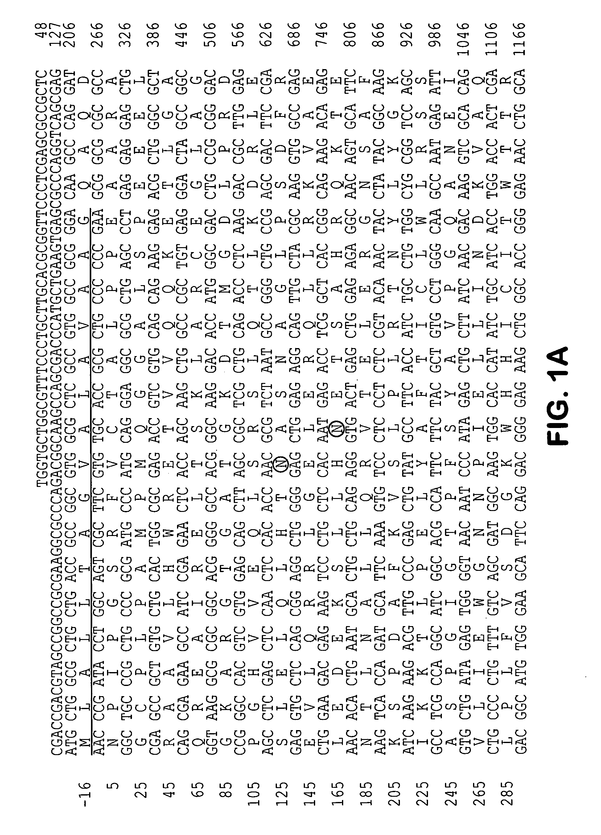 Molecules involved in synaptogenesis and uses therefor