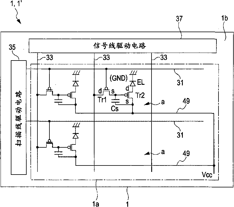 Display device and method for manufacturing the same