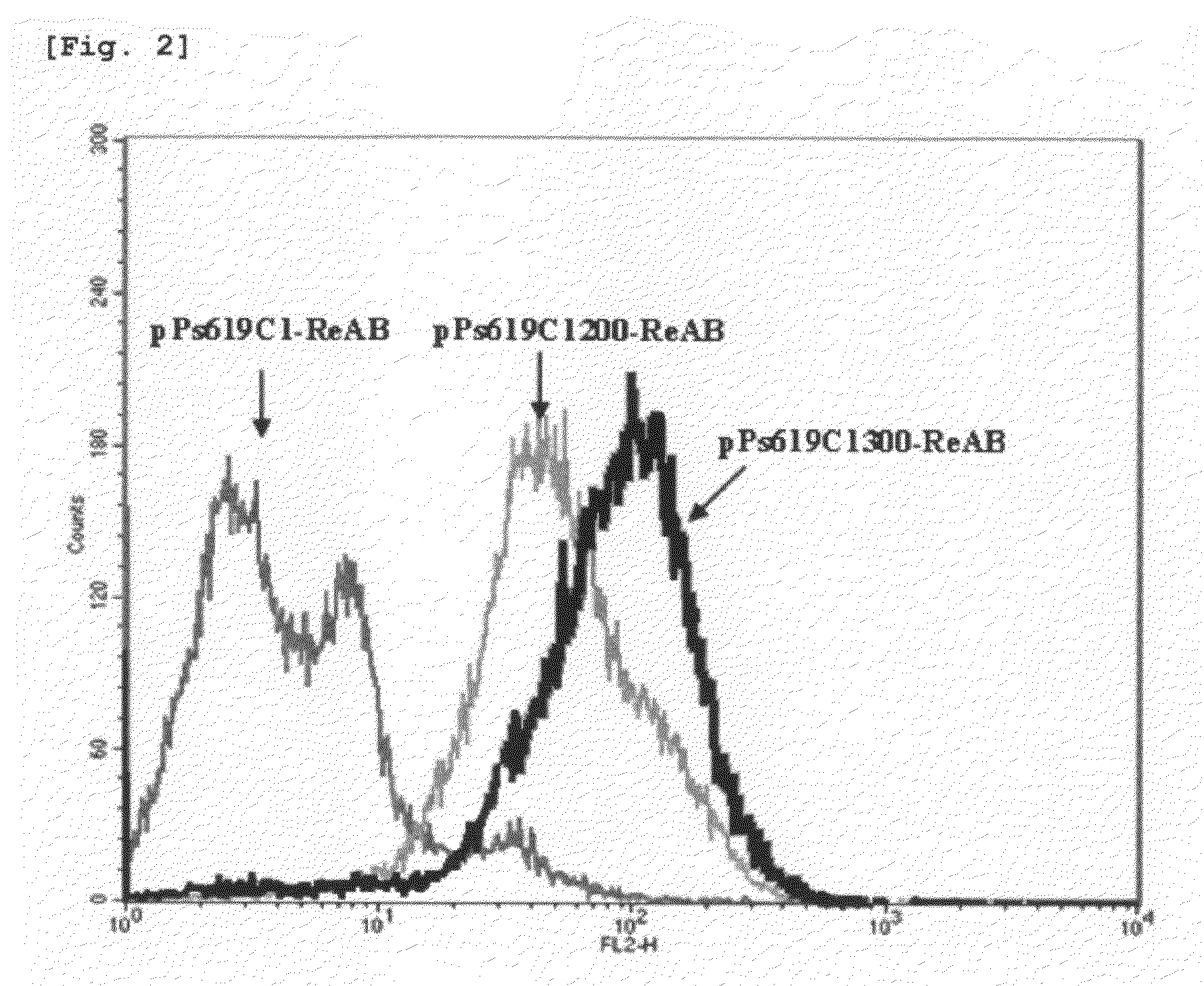 Mutants of pha synthase from pseudomonas sp. 6-19 and method for preparing lactate homopolymer or copolymer using the same