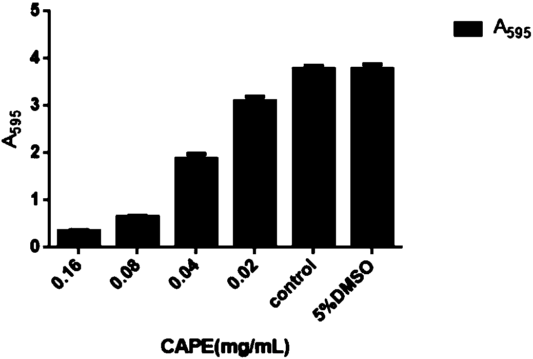 Application of caffeic acid phenethylester in preparing of caries-prevention or anti-caries preparation