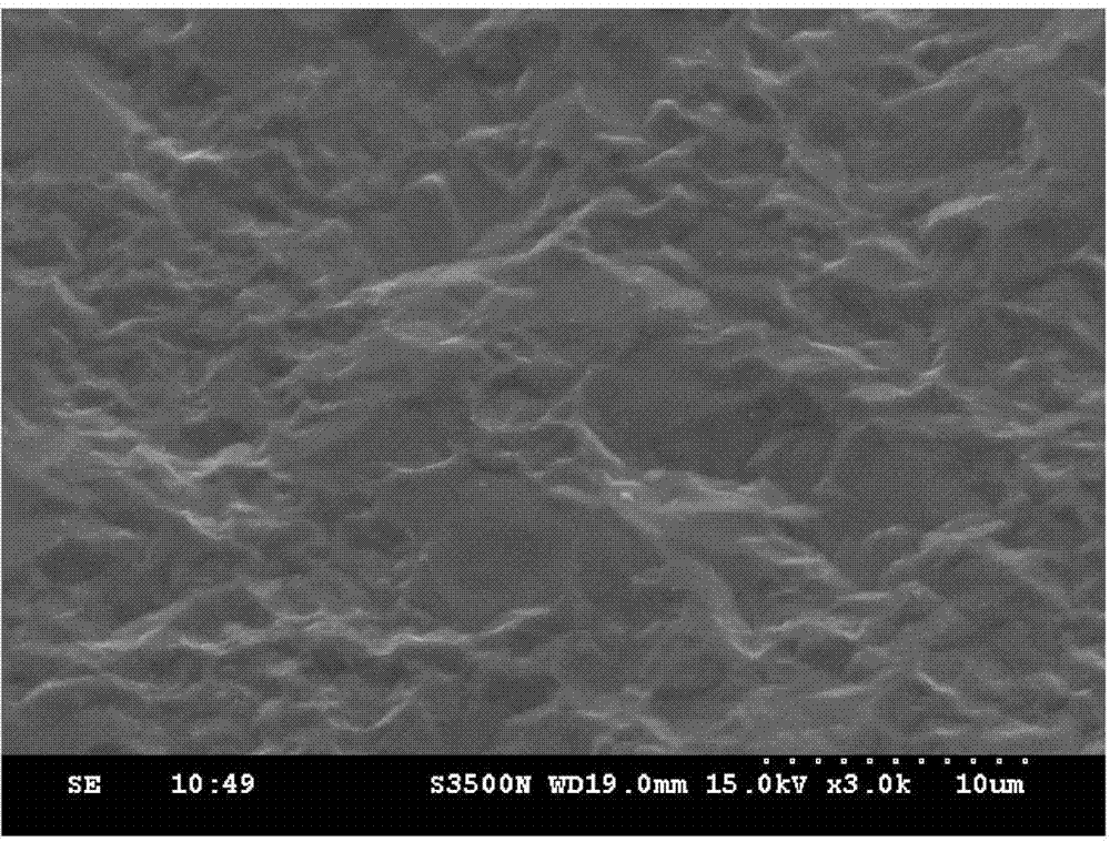 Surface treatment method for forming micro-porous structure on surface of aluminum alloy