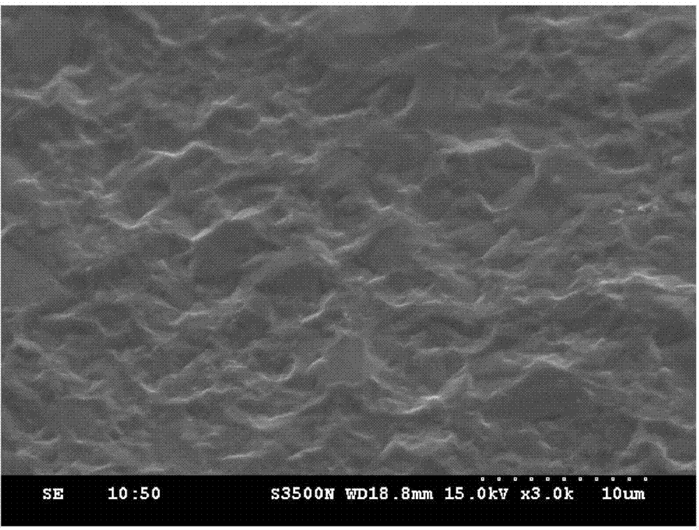 Surface treatment method for forming micro-porous structure on surface of aluminum alloy