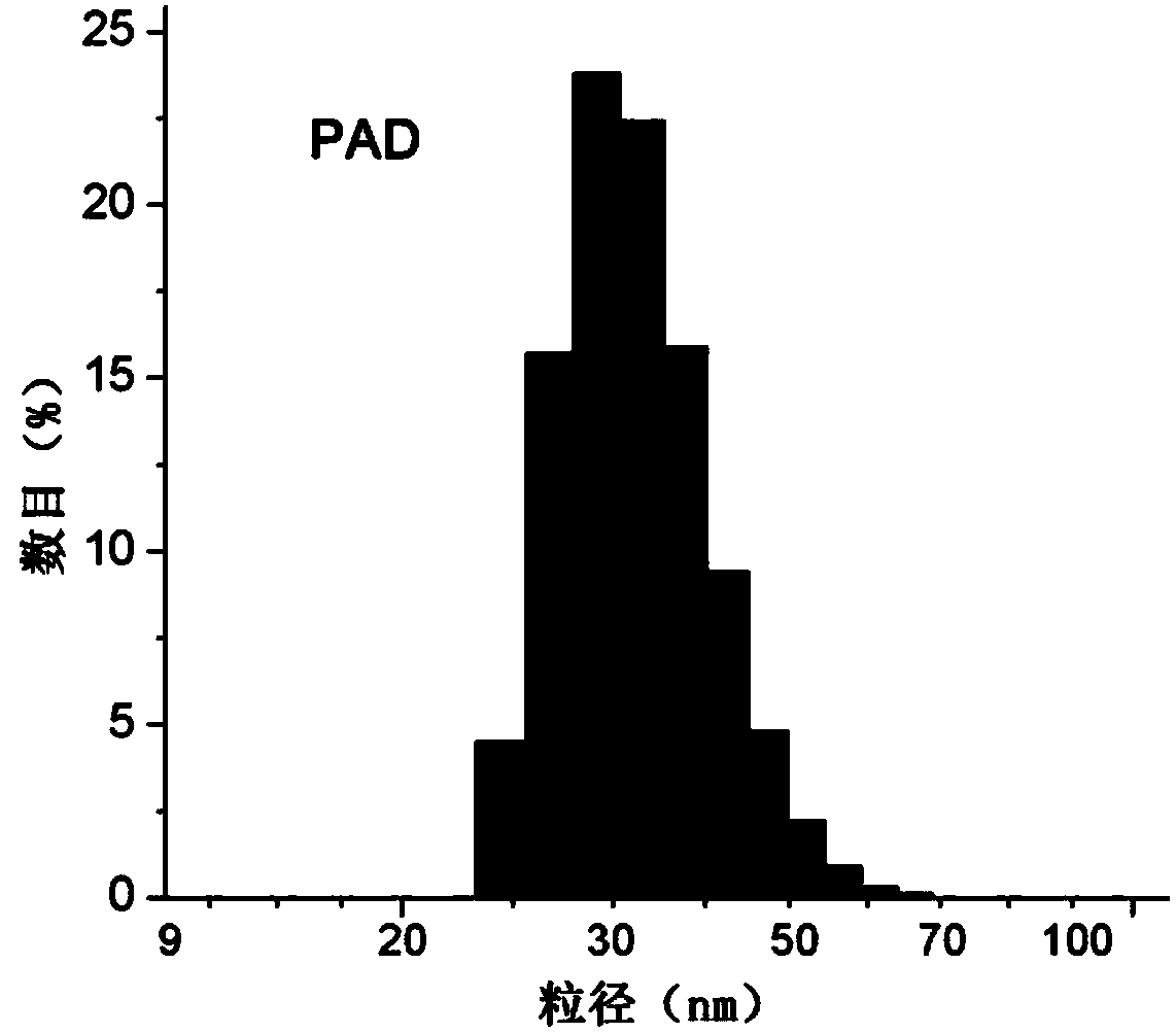 Amphiphilic targeting cell-penetrating peptide, and nanoprobe and drug-loaded nanoparticle formed by self-assembling thereof