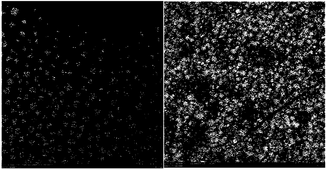 Amphiphilic targeting cell-penetrating peptide, and nanoprobe and drug-loaded nanoparticle formed by self-assembling thereof