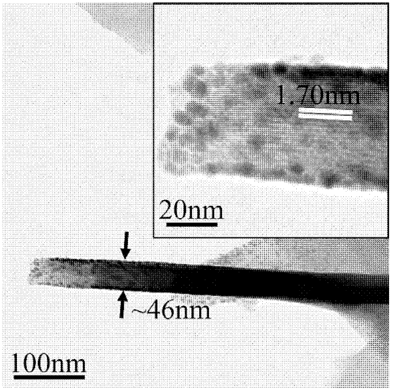 Nano metal leaf and preparation method thereof