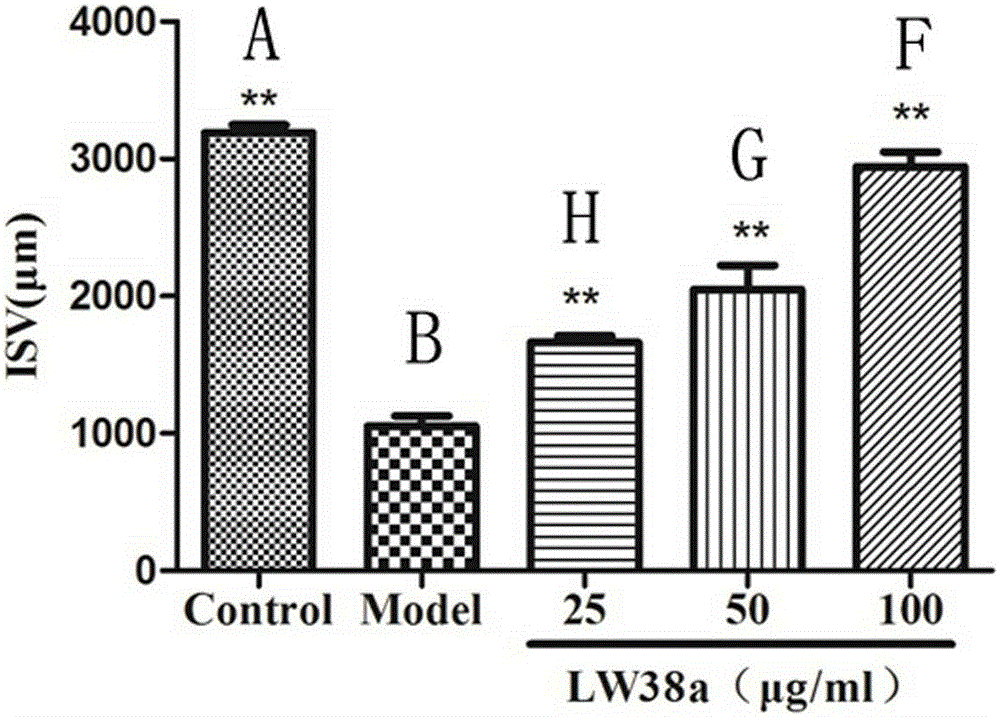 Application of two halogen-phenol compounds to effect of promoting angiogenesis