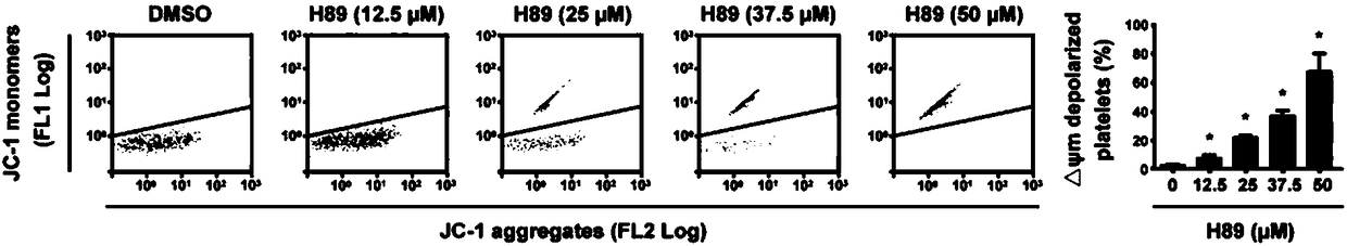 Use of protein kinase A activator in preparation of medicament for treating diseases related to reduction of number of platelets