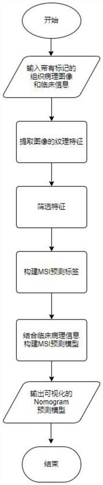 MSI prediction model construction method based on gastric cancer histopathology image texture features