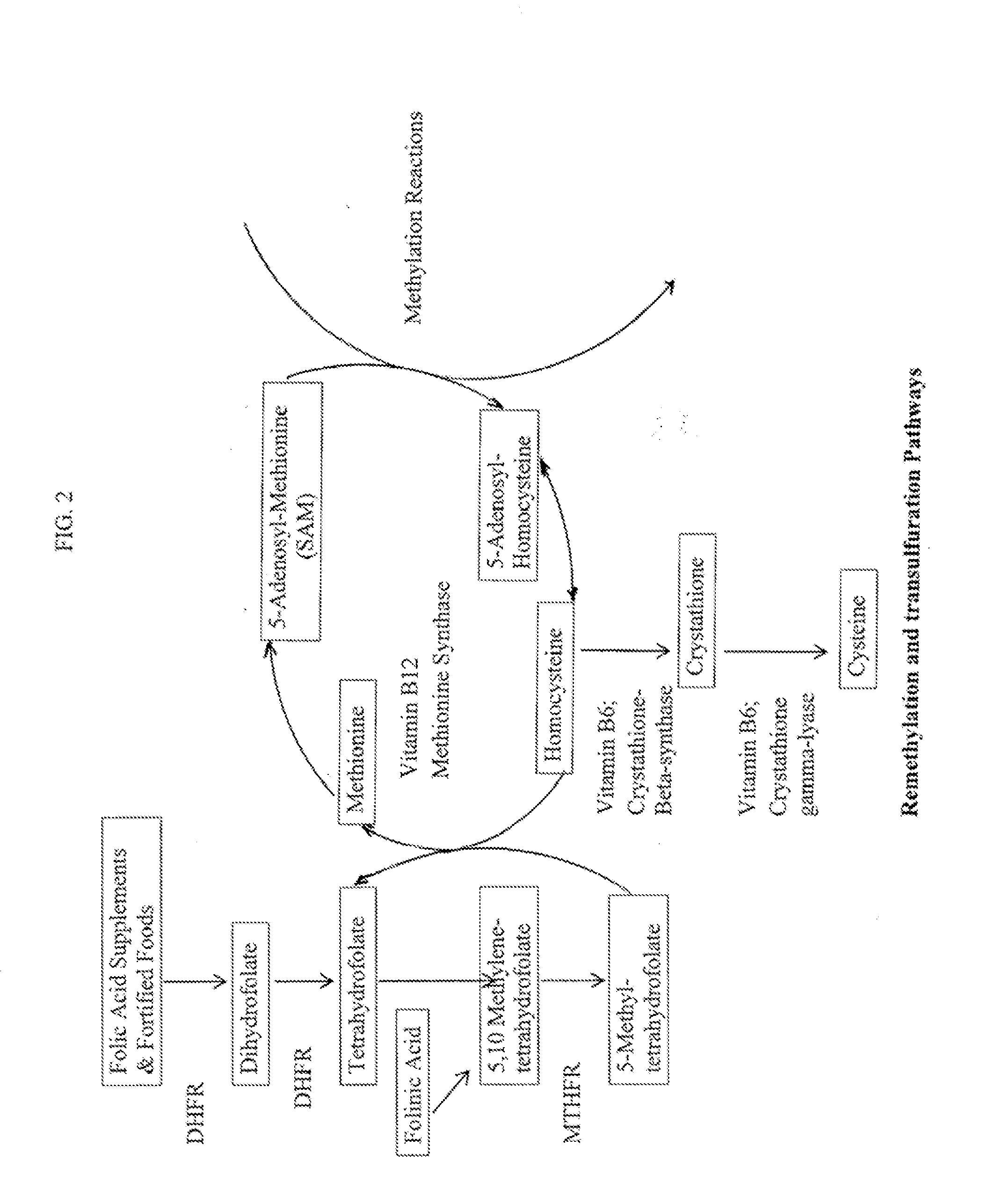 Multiple folate formulation and use thereof