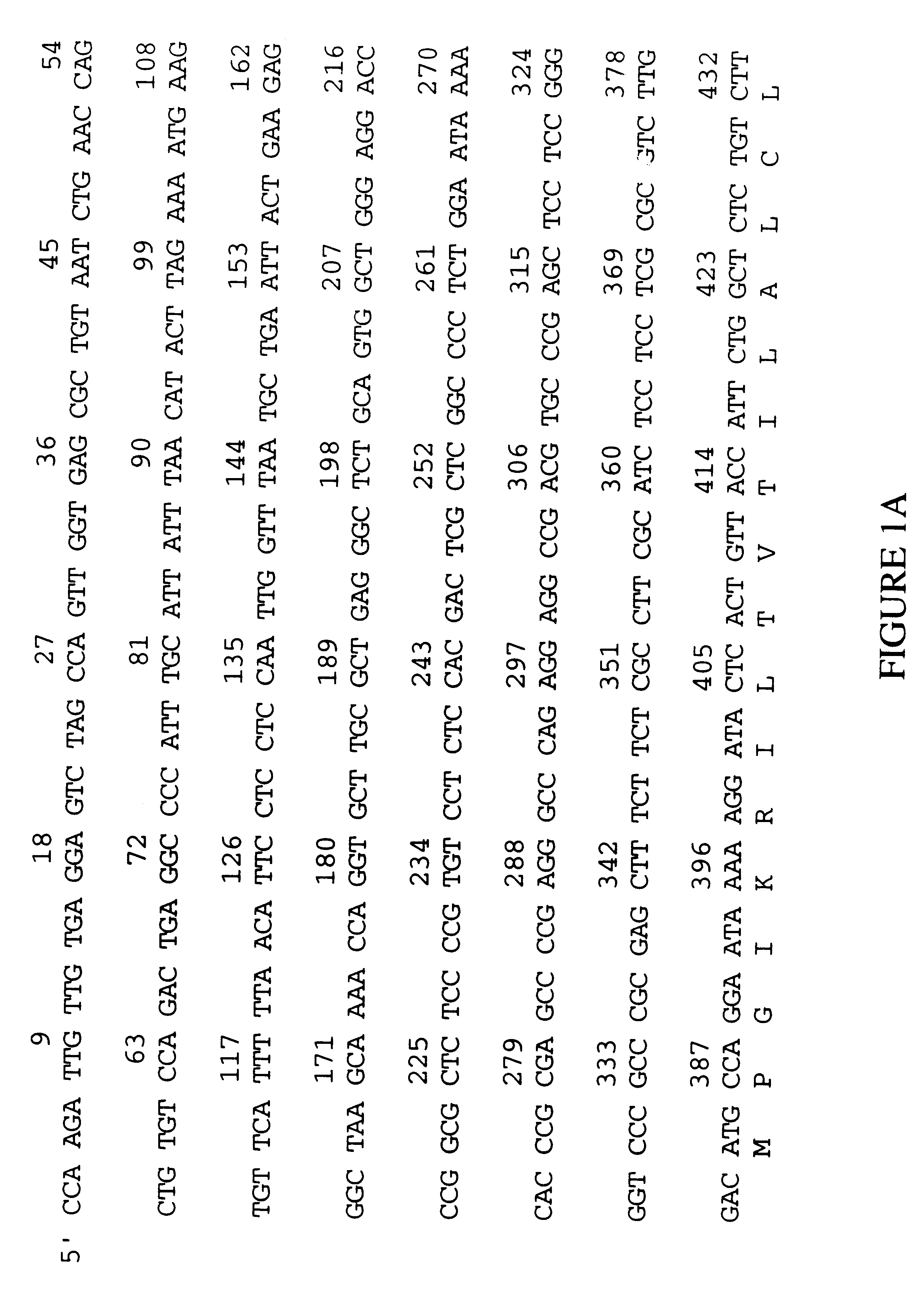 Human extracellular matrix proteins