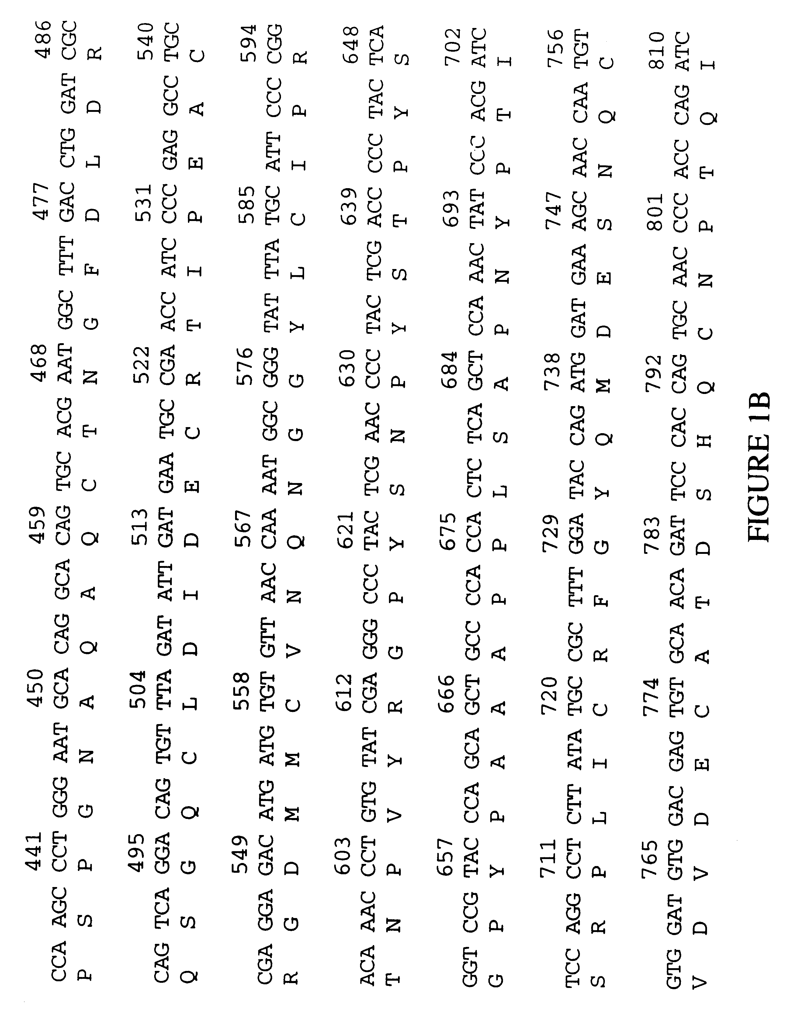 Human extracellular matrix proteins