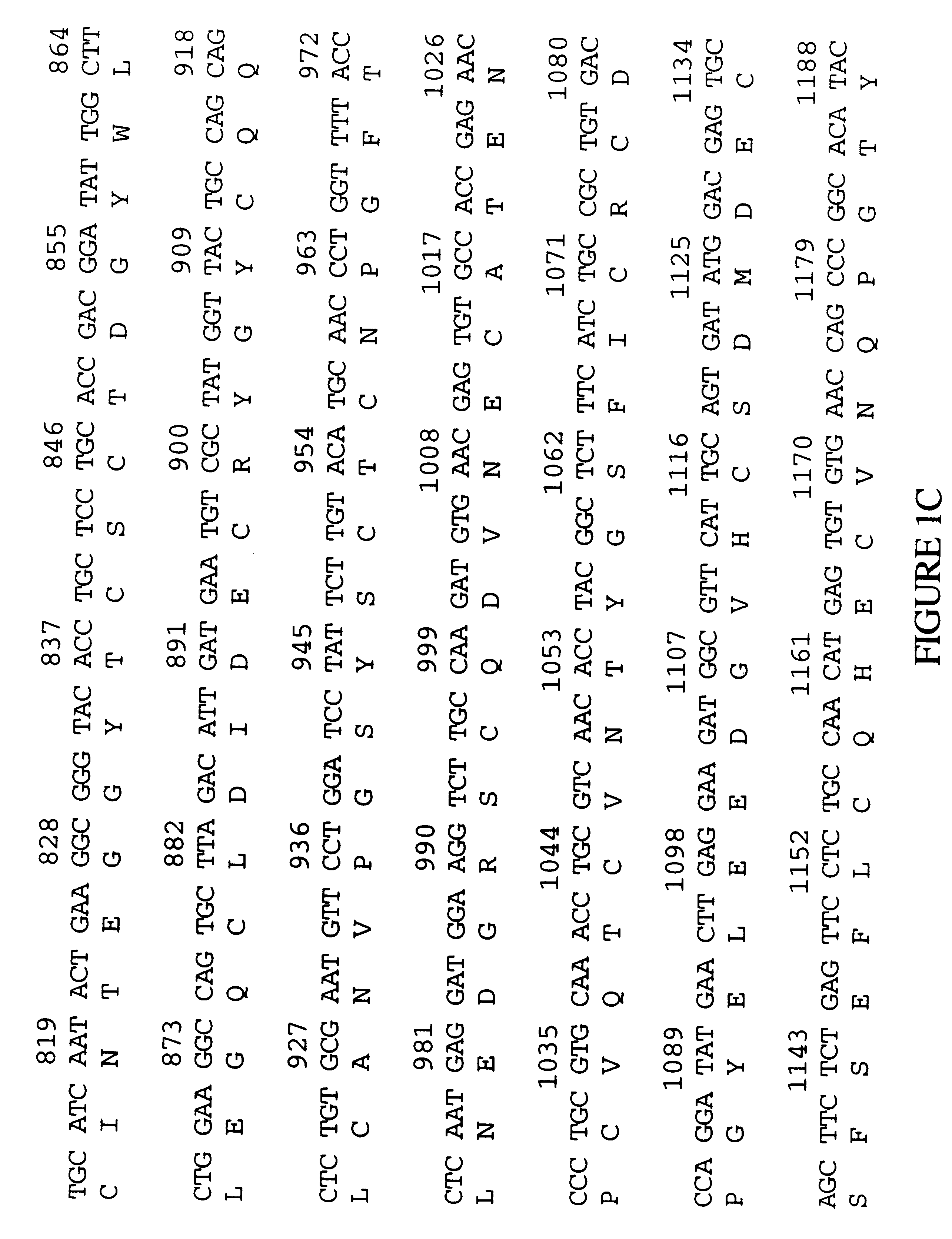 Human extracellular matrix proteins