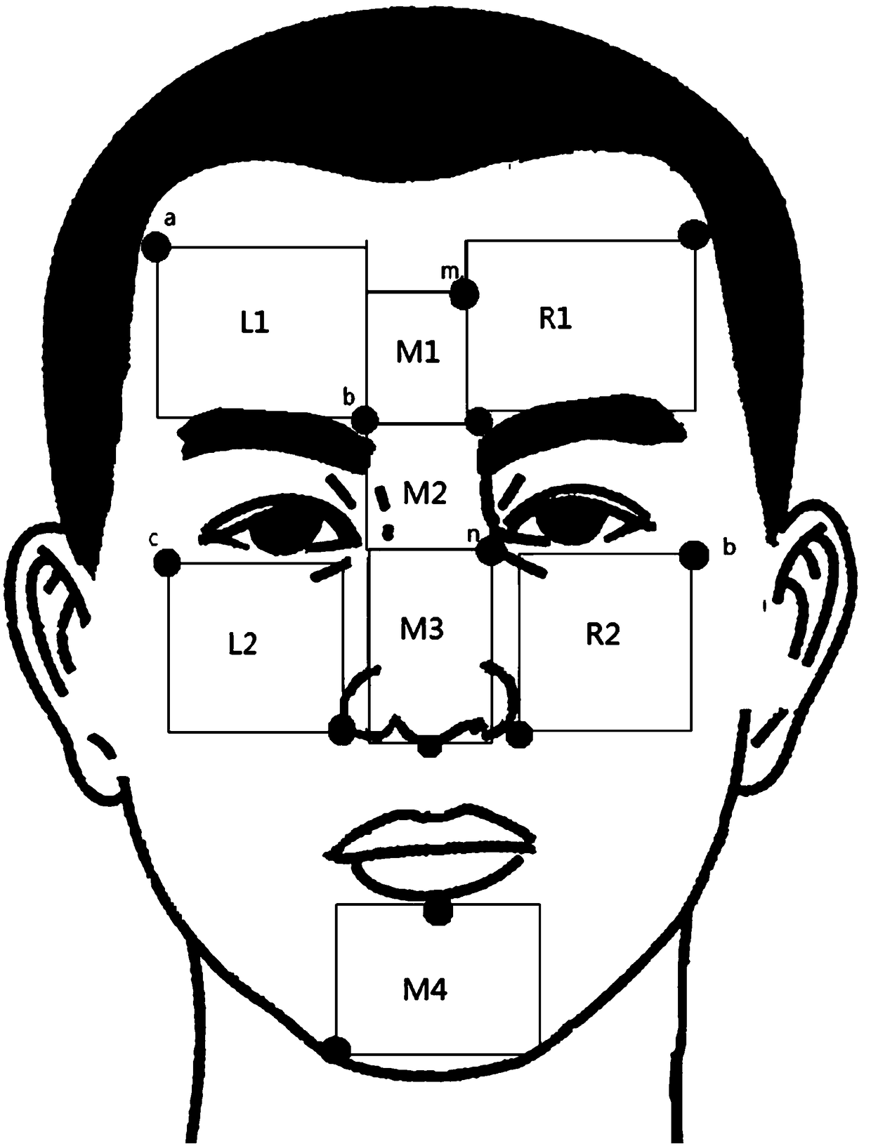 A Quantitative Skin Quality Detection Method Based on Face Image Recognition