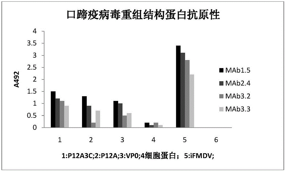 Foot and mouth disease virus-like particle vaccine and preparation method thereof