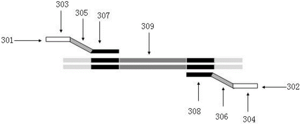 Method for performing multiplex PCR by utilizing hairpin primers