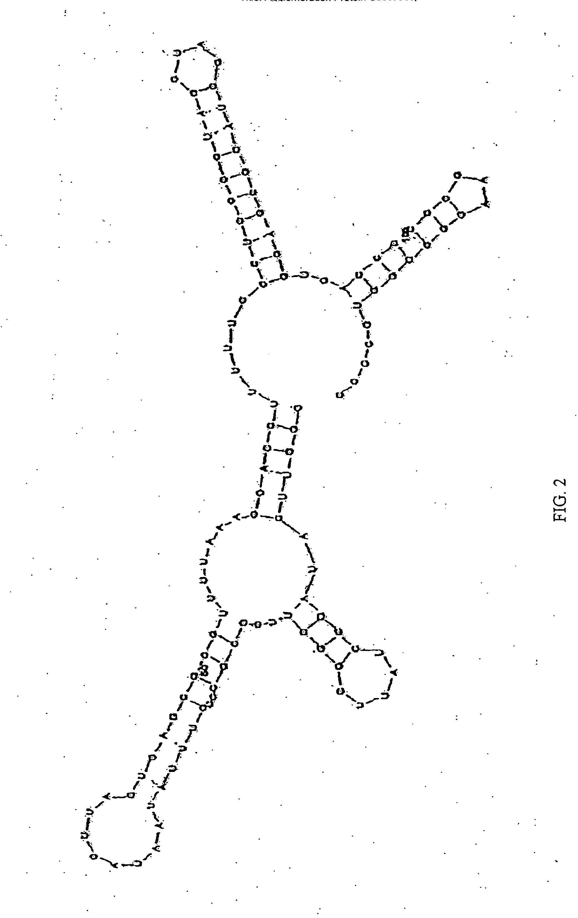 Agglomeration protein cascades, compositions and methods regarding the same