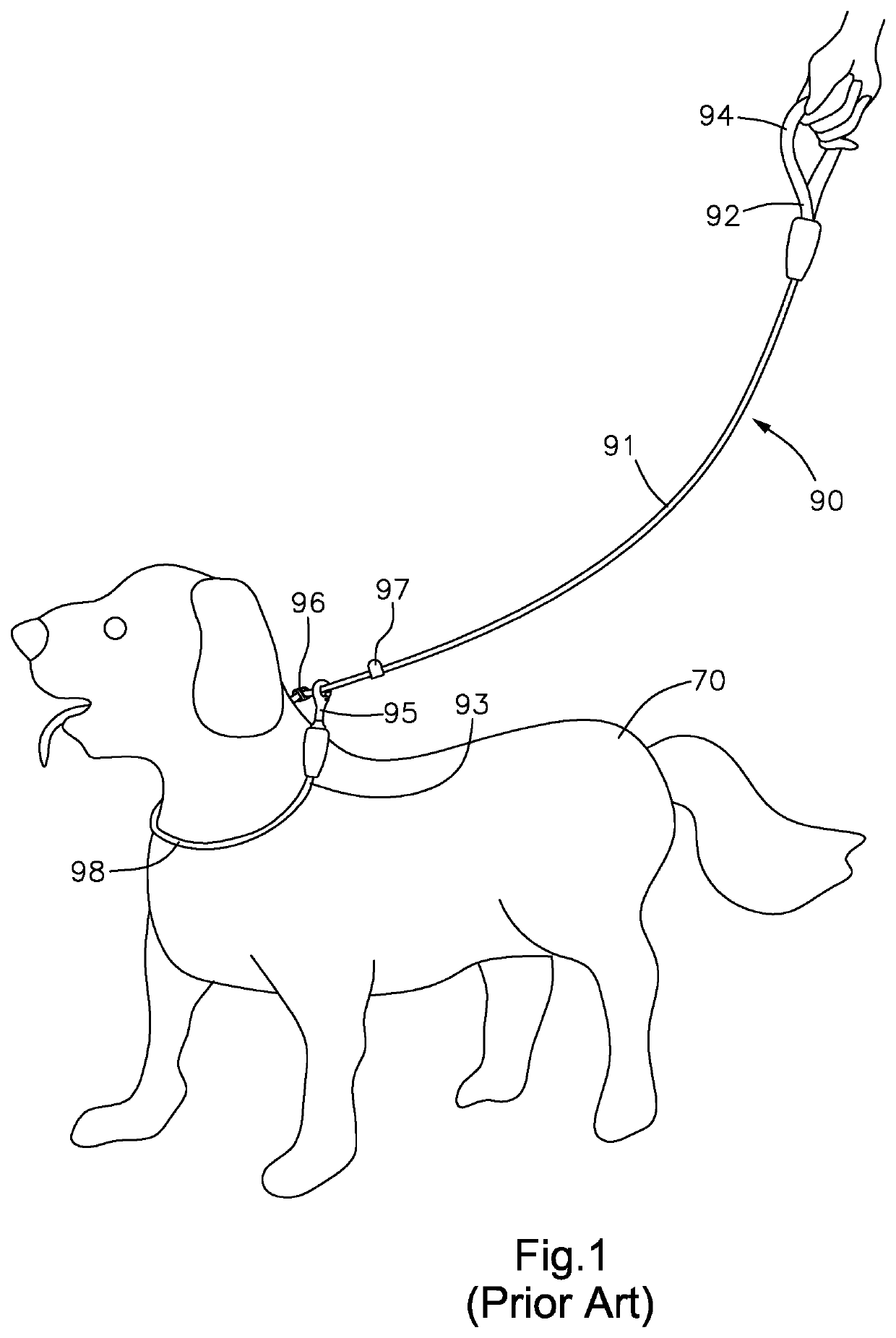 P-shaped pet leash