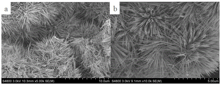 Firework-shaped nano-ZnO photocatalyst prepared based on one-step calcination method and method thereof