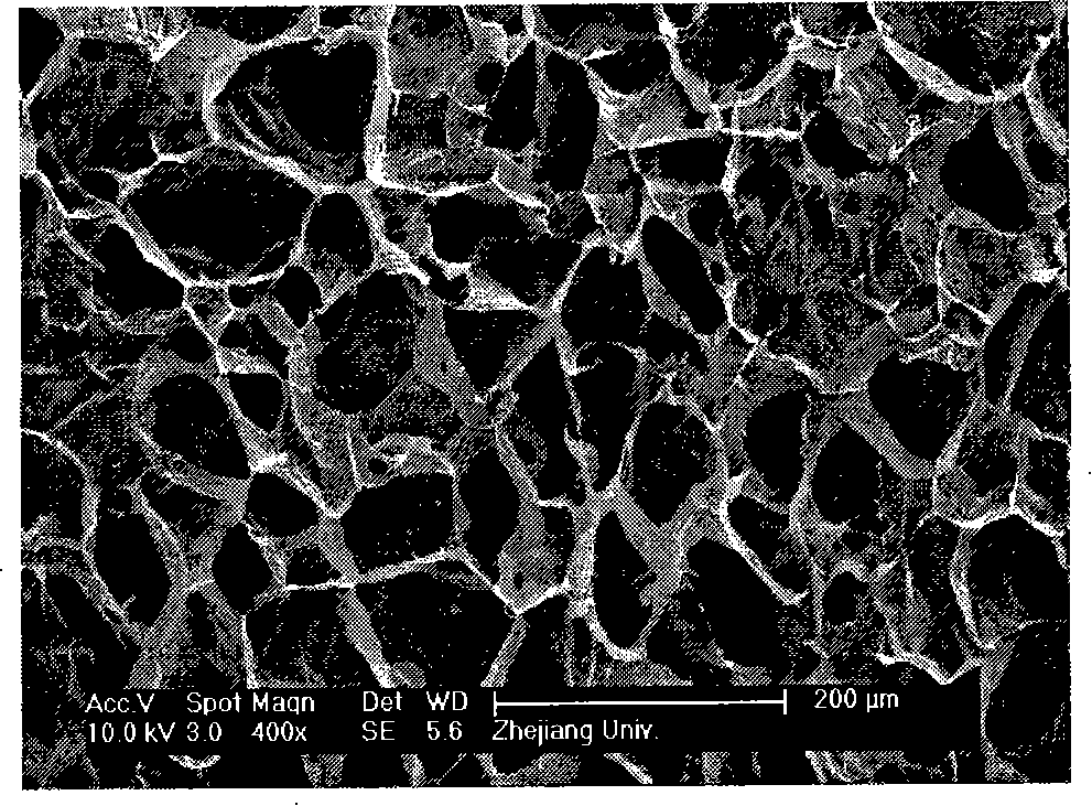 Method for preparation of collagen / chitose supporting stand of composite hydroxylapatite