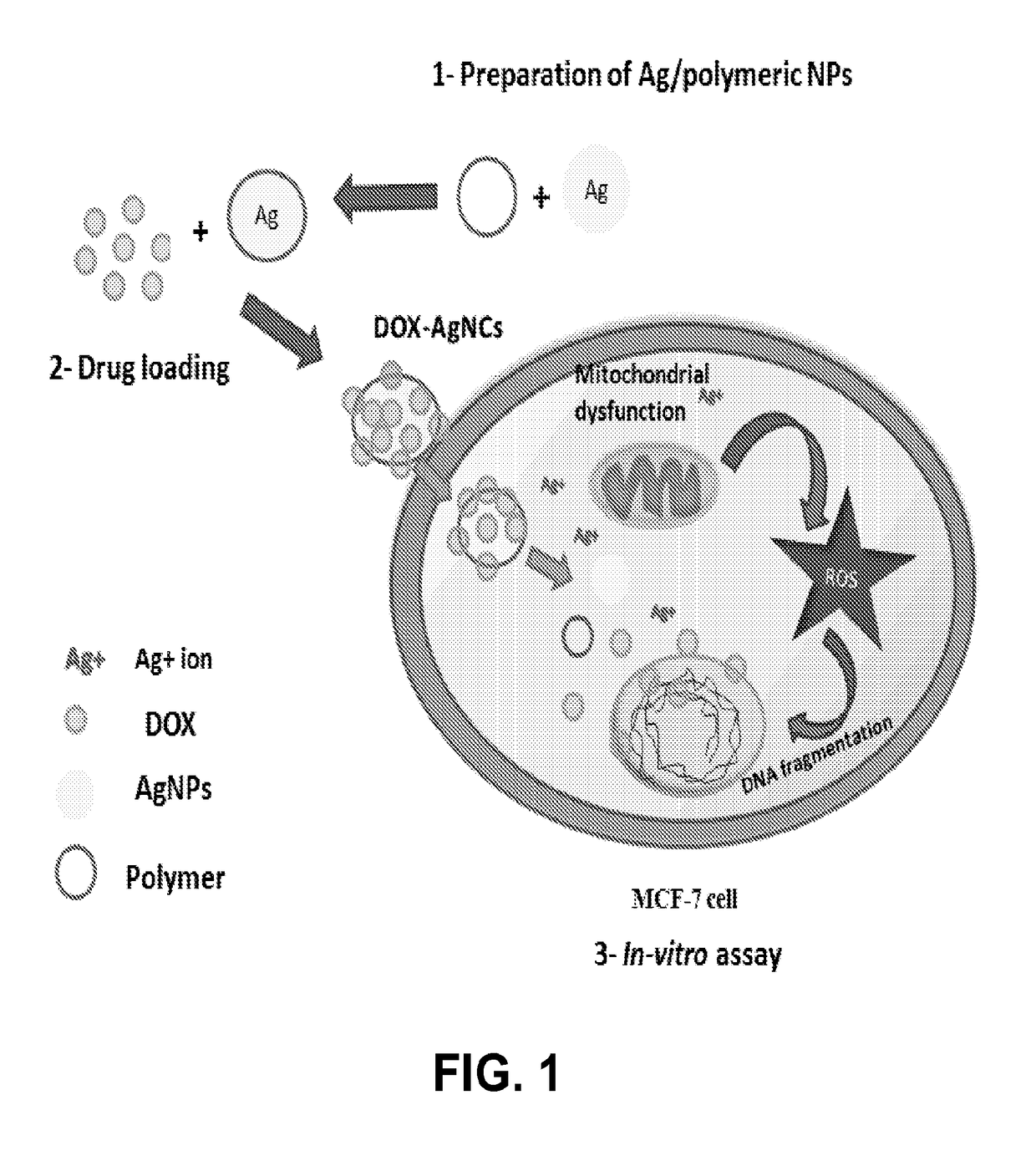 Nanoparticle-based Combinatorial Therapy