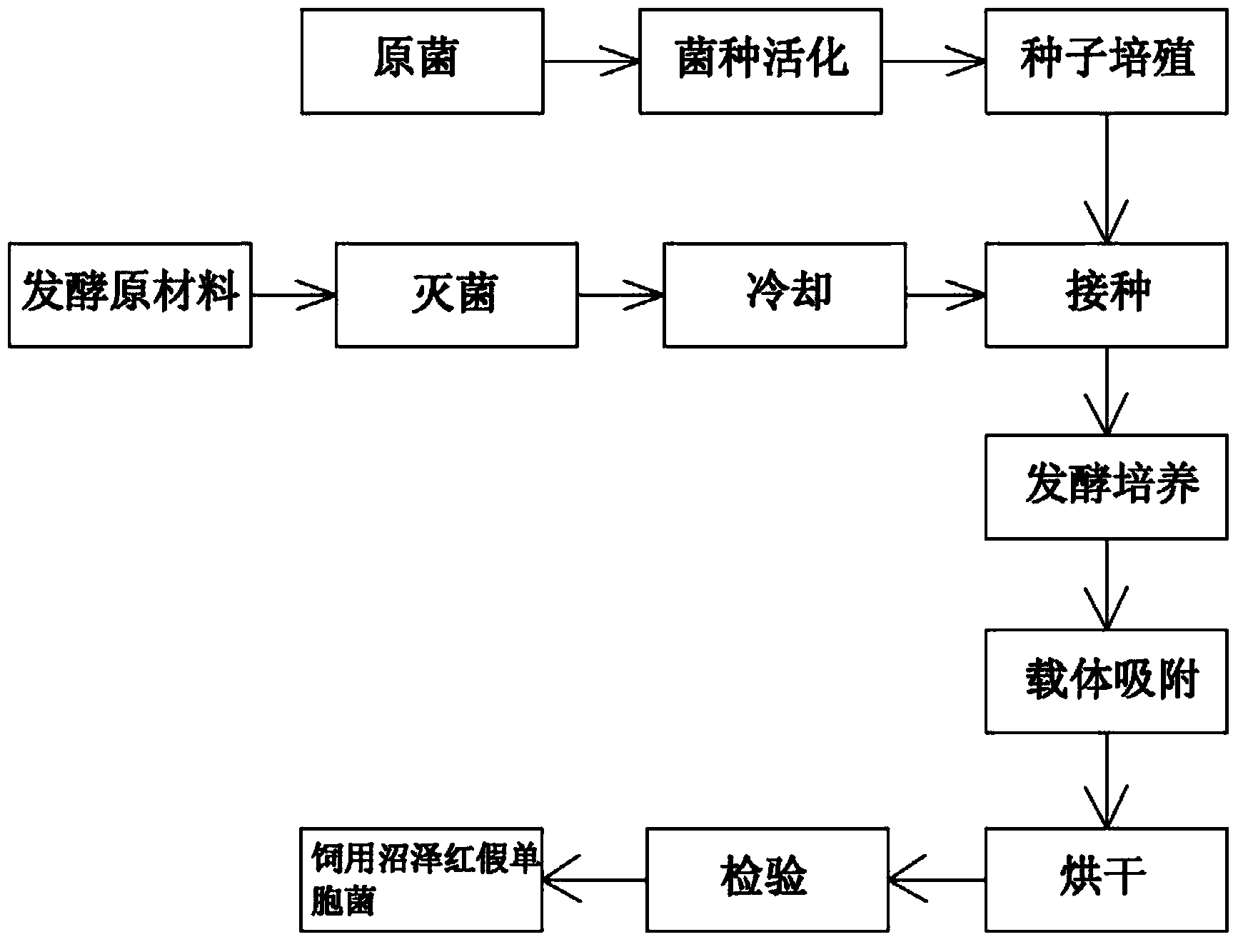 Method for preparing rhodopseudomonas palustris for feed by utilizing white maize meal as raw material