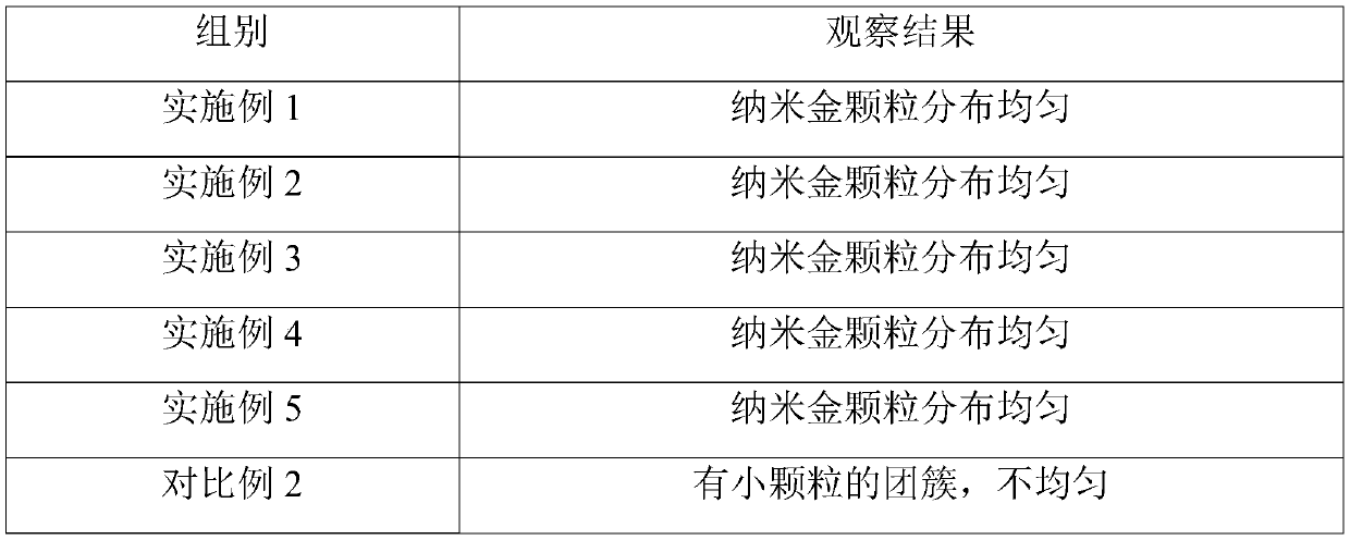 Nanogold soft film powder composition as well as preparation method and application thereof